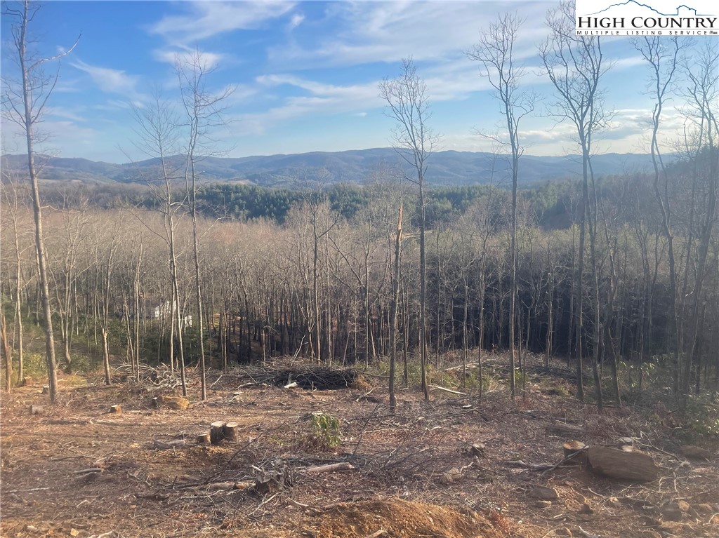 42 Sharpes Mountain Lane