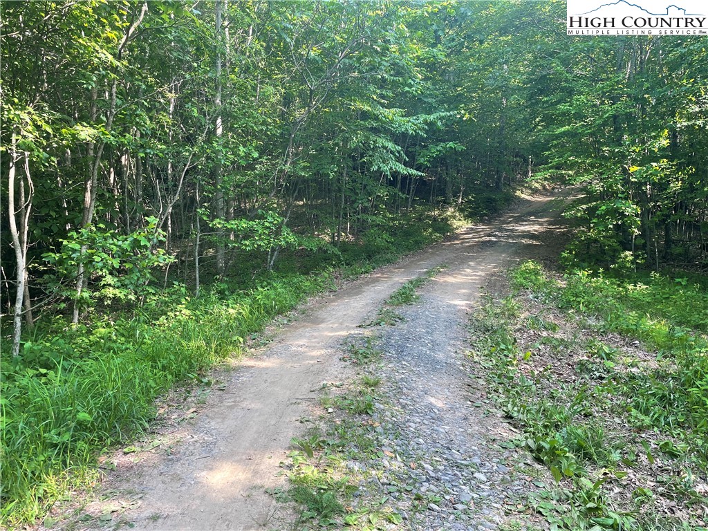 TBD Jont Mountain Road