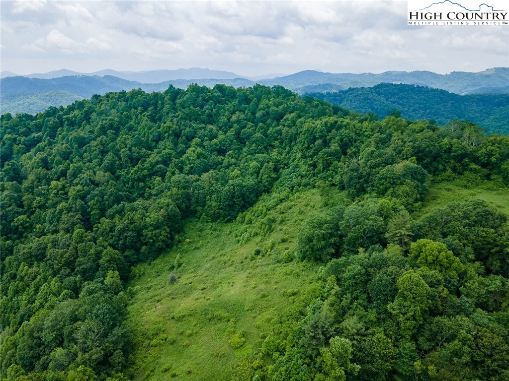 TBD Jont Mountain Road