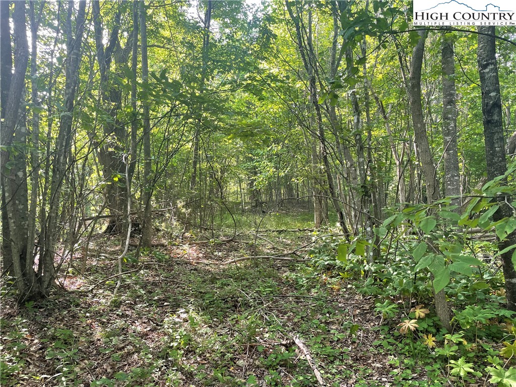 TBD Jont Mountain Road