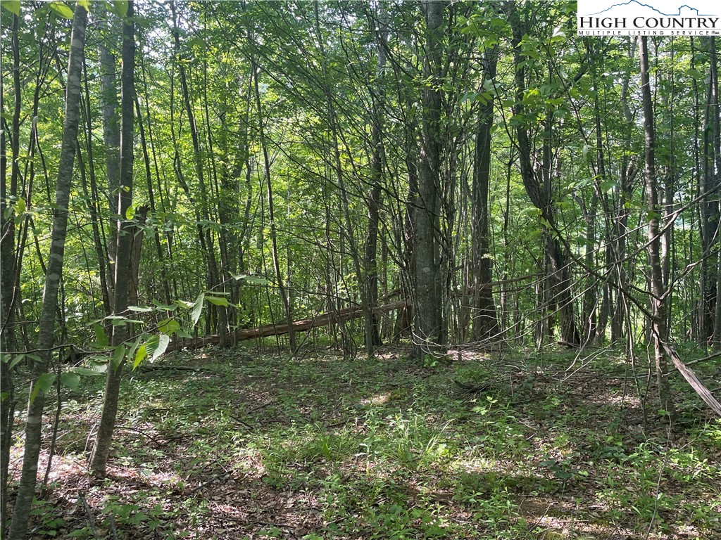 TBD Jont Mountain Road