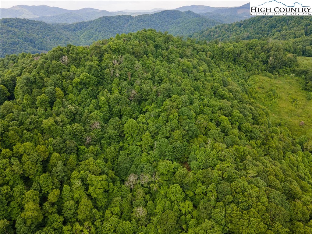 TBD Jont Mountain Road