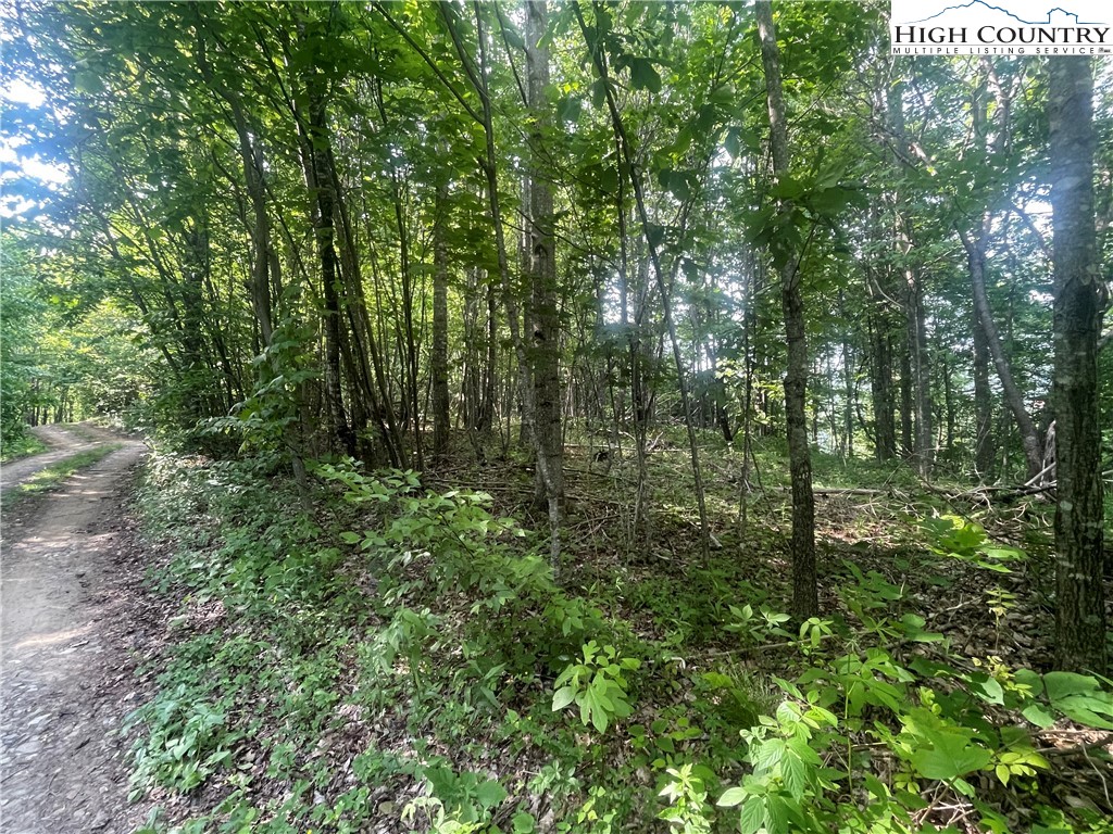 TBD Jont Mountain Road