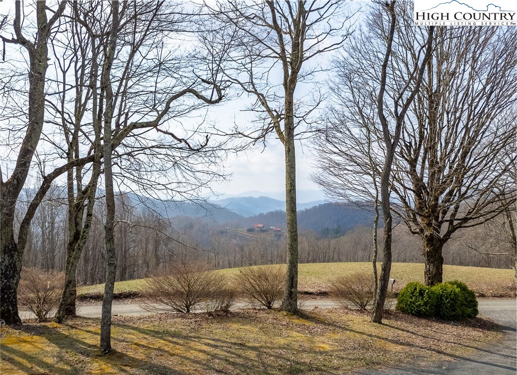 3036 Little Windfall Road