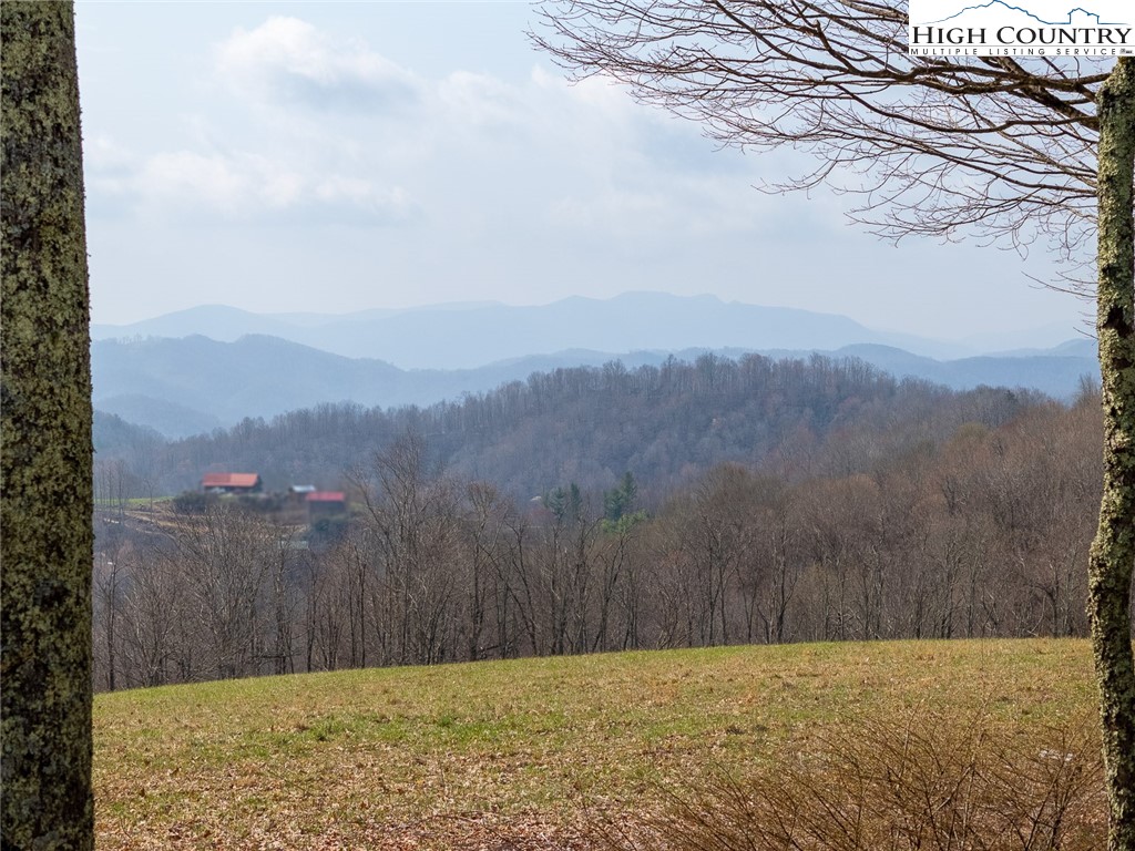 3036 Little Windfall Road