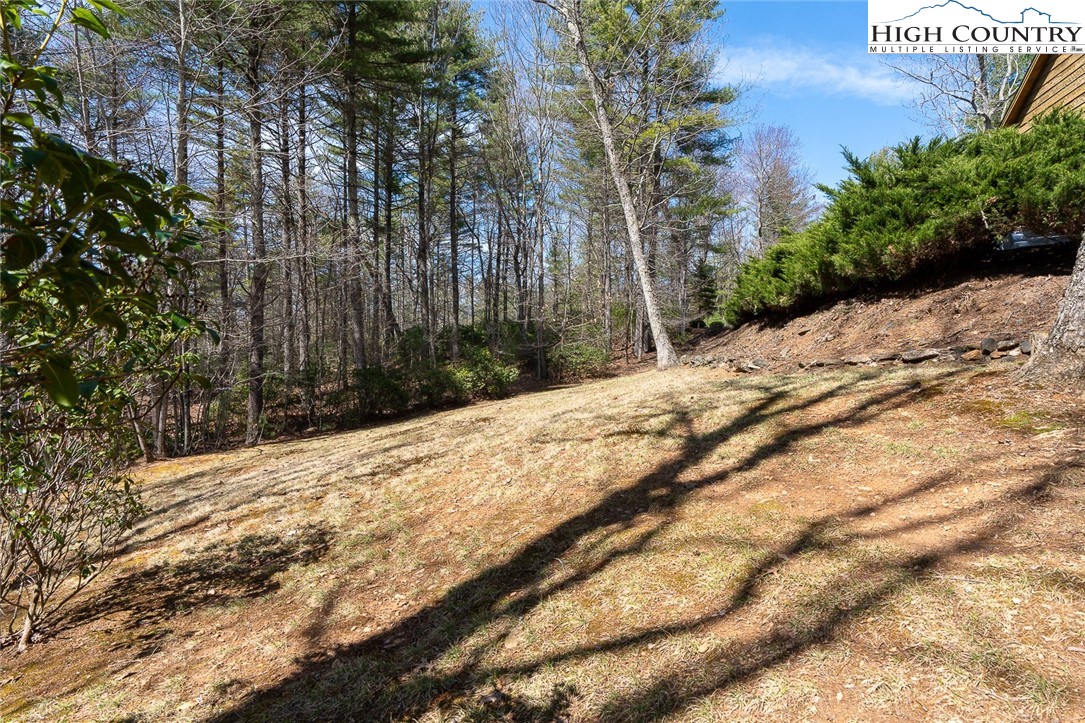 547 Painted Laurel Drive