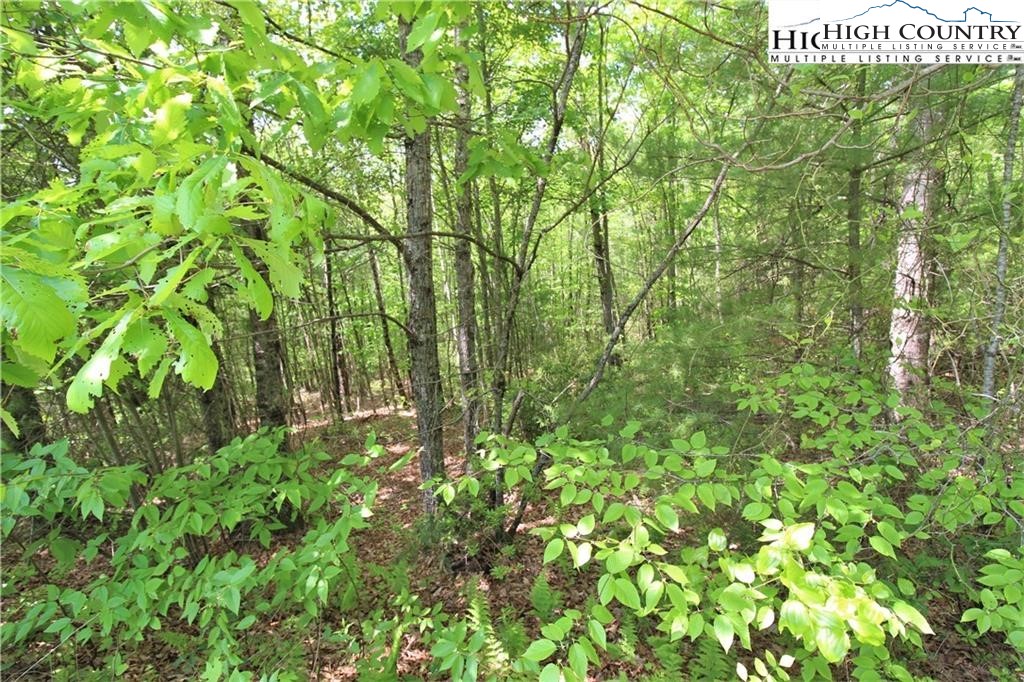 TBD Christmas Mountain Lane