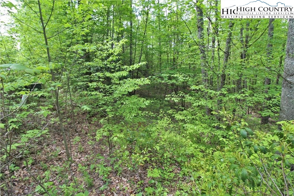 TBD Christmas Mountain Lane