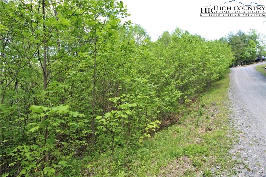 TBD Christmas Mountain Lane