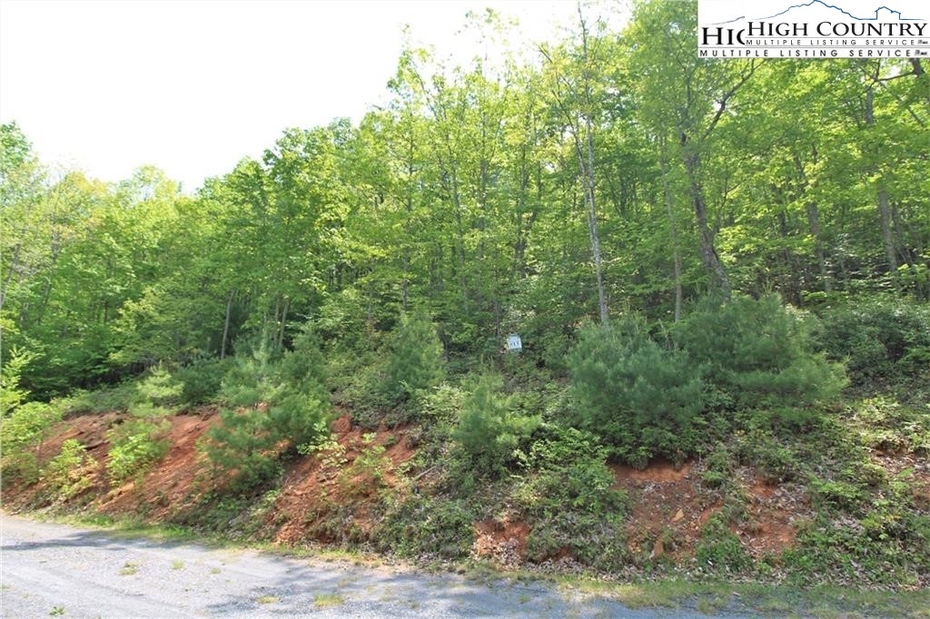 TBD Christmas Mountain Lane