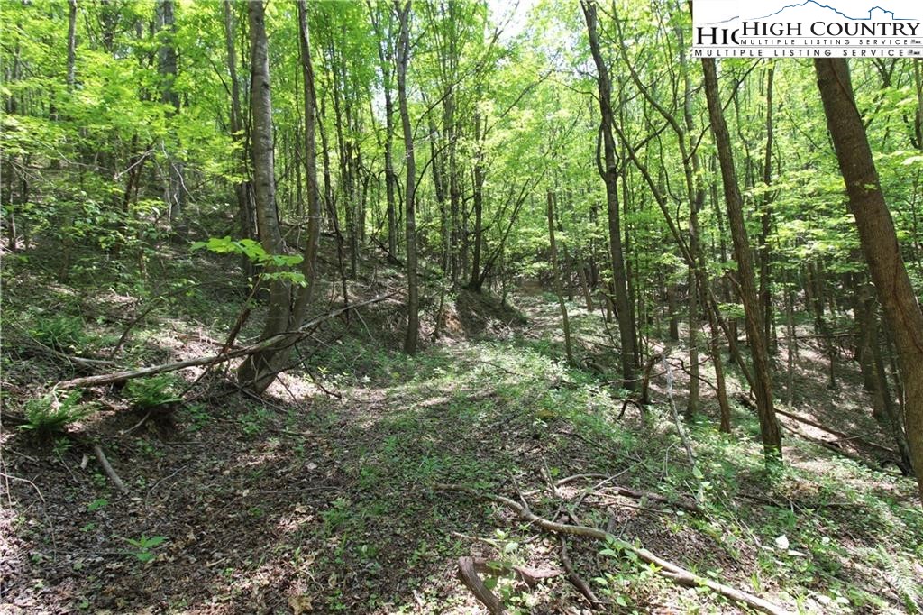 TBD Christmas Mountain Lane