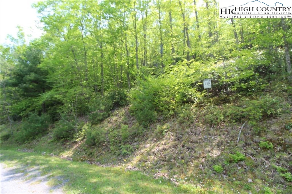 TBD Christmas Mountain Lane