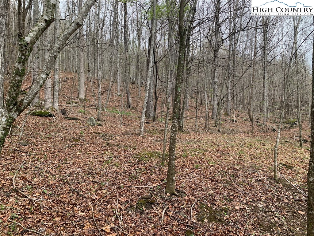 TBD Laurel Creek Ext Road