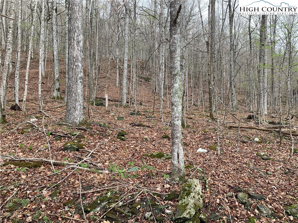 TBD Laurel Creek Ext Road