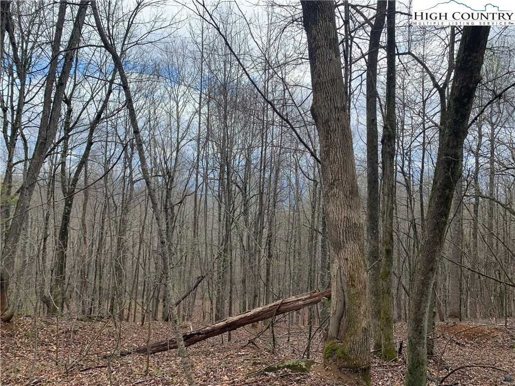 TBD Laurel Creek Ext Road