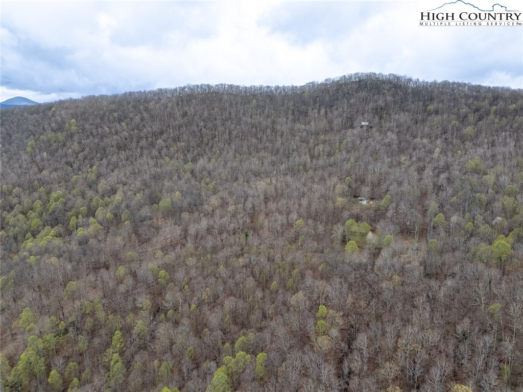 TBD Laurel Creek Ext Road