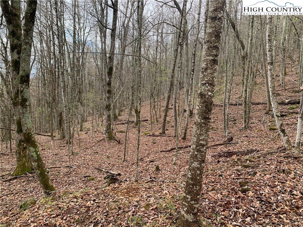 TBD Laurel Creek Ext Road