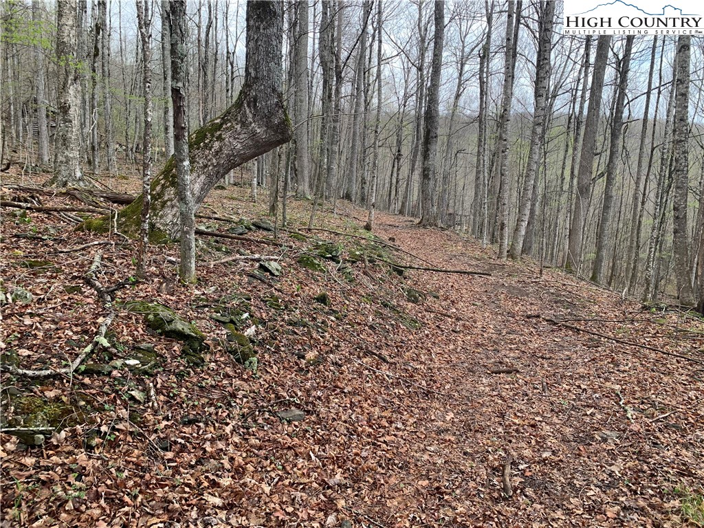 TBD Laurel Creek Ext Road