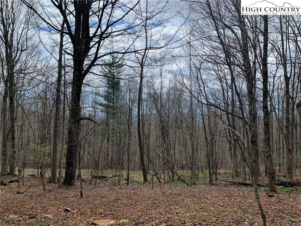 TBD Laurel Creek Ext Road