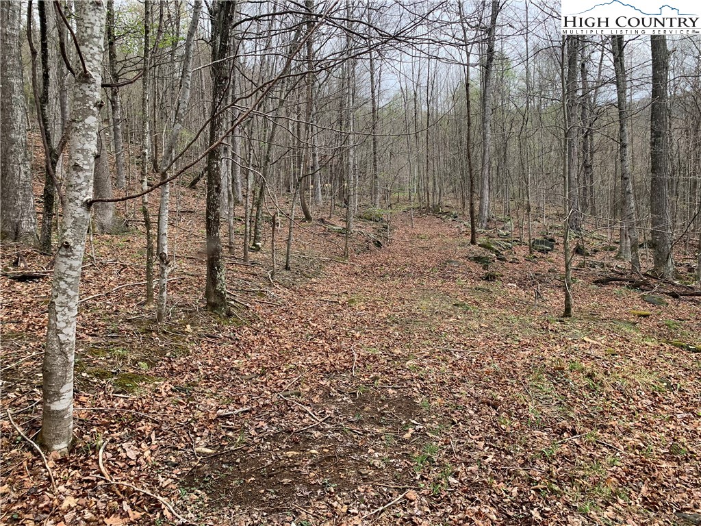 TBD Laurel Creek Ext Road