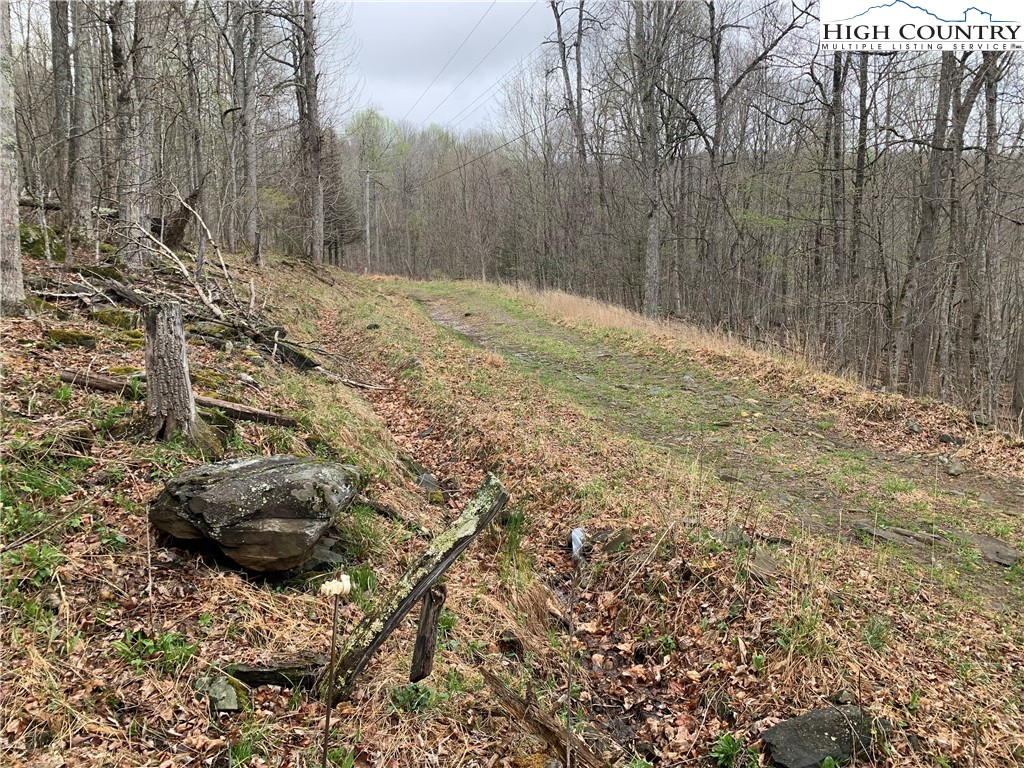 TBD Laurel Creek Ext Road