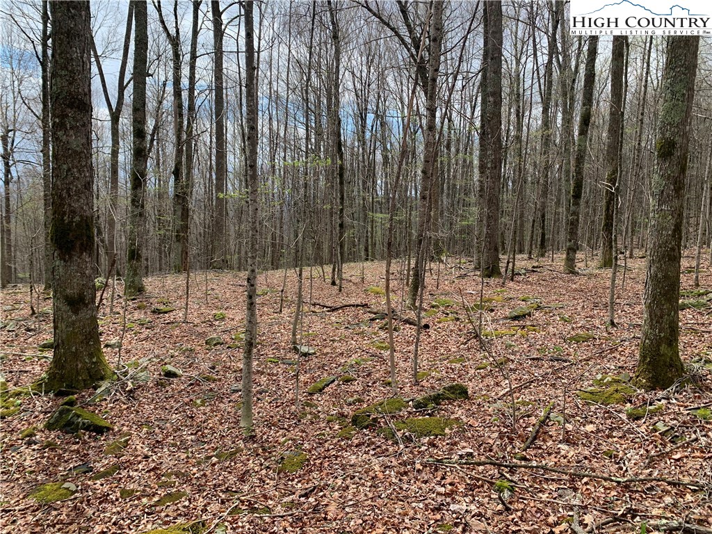 TBD Laurel Creek Ext Road