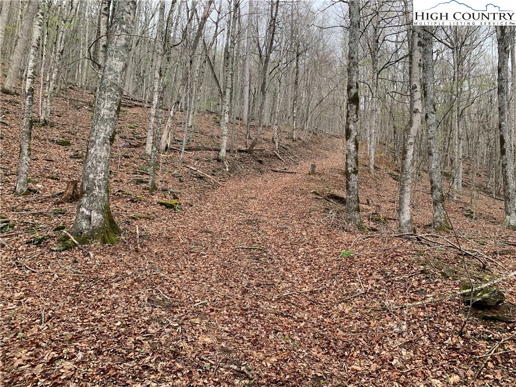 TBD Laurel Creek Ext Road