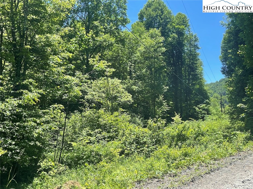 TBD Bald Mountain Road