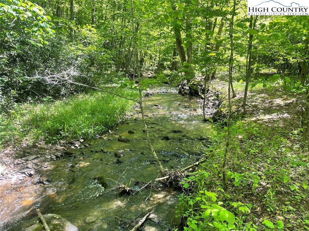 TBD Bald Mountain Road