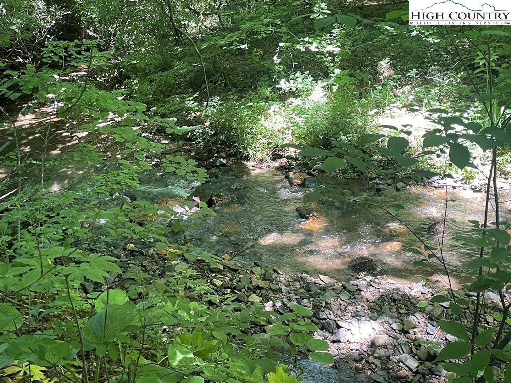 TBD Bald Mountain Road