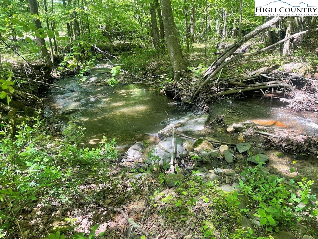 TBD Bald Mountain Road