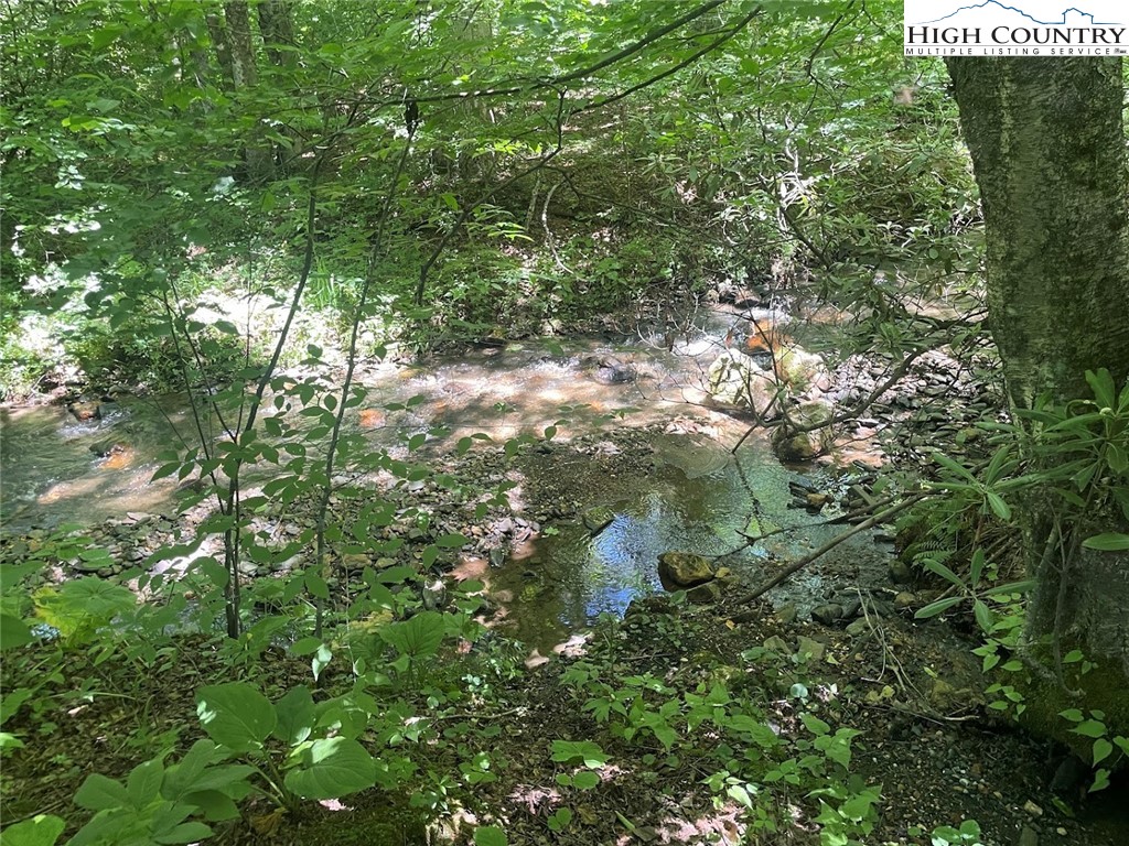 TBD Bald Mountain Road