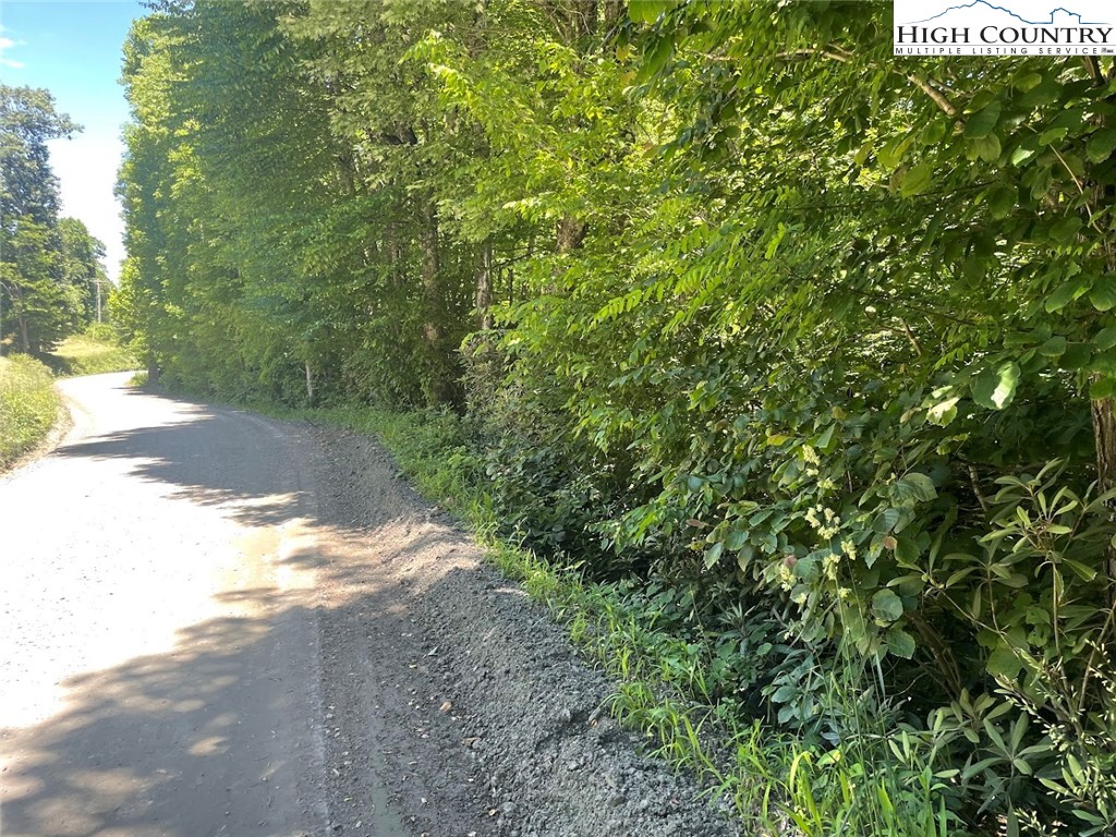 TBD Bald Mountain Road