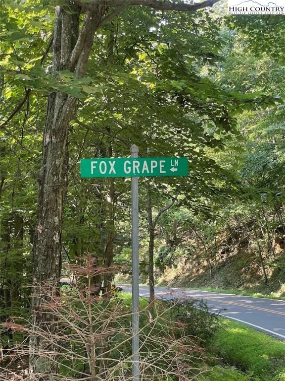 10 Fox Grape Lane