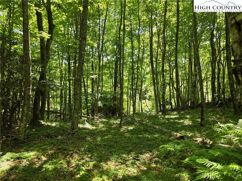 Lot 76 White Tail Trail