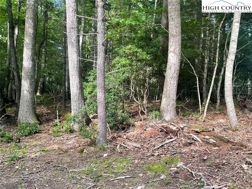 TBD Hickory Ridge Rd and Rendezvous Lane