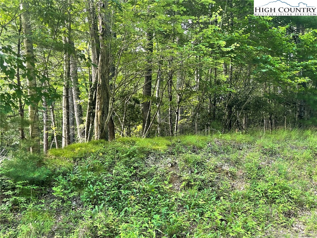 TBD Hickory Ridge Rd and Rendezvous Lane