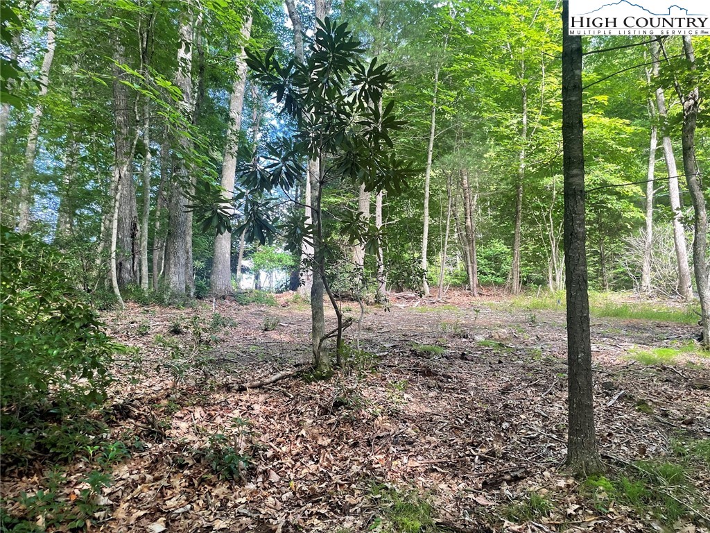 TBD Hickory Ridge Rd and Rendezvous Lane