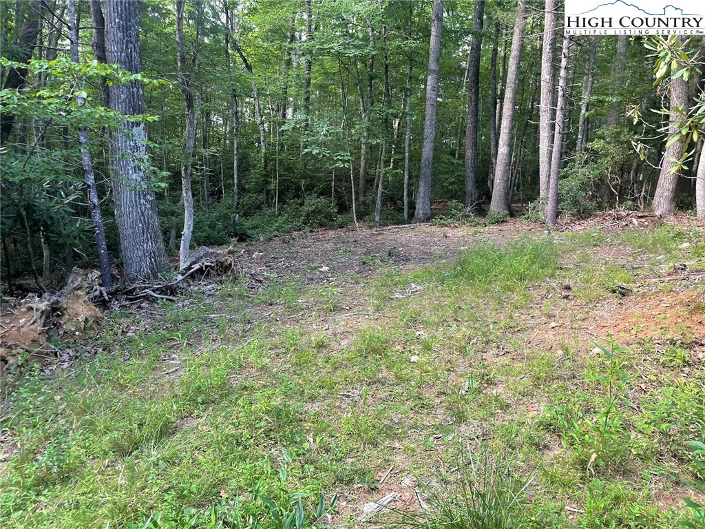 TBD Hickory Ridge Rd and Rendezvous Lane