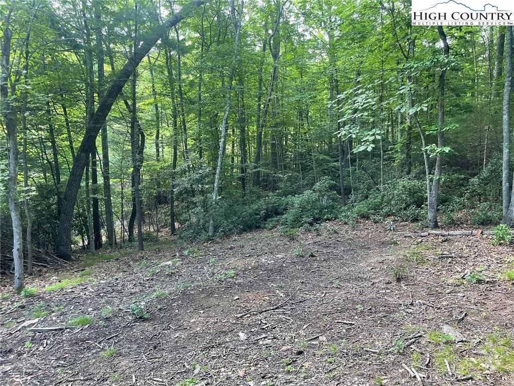 TBD Hickory Ridge Rd and Rendezvous Lane