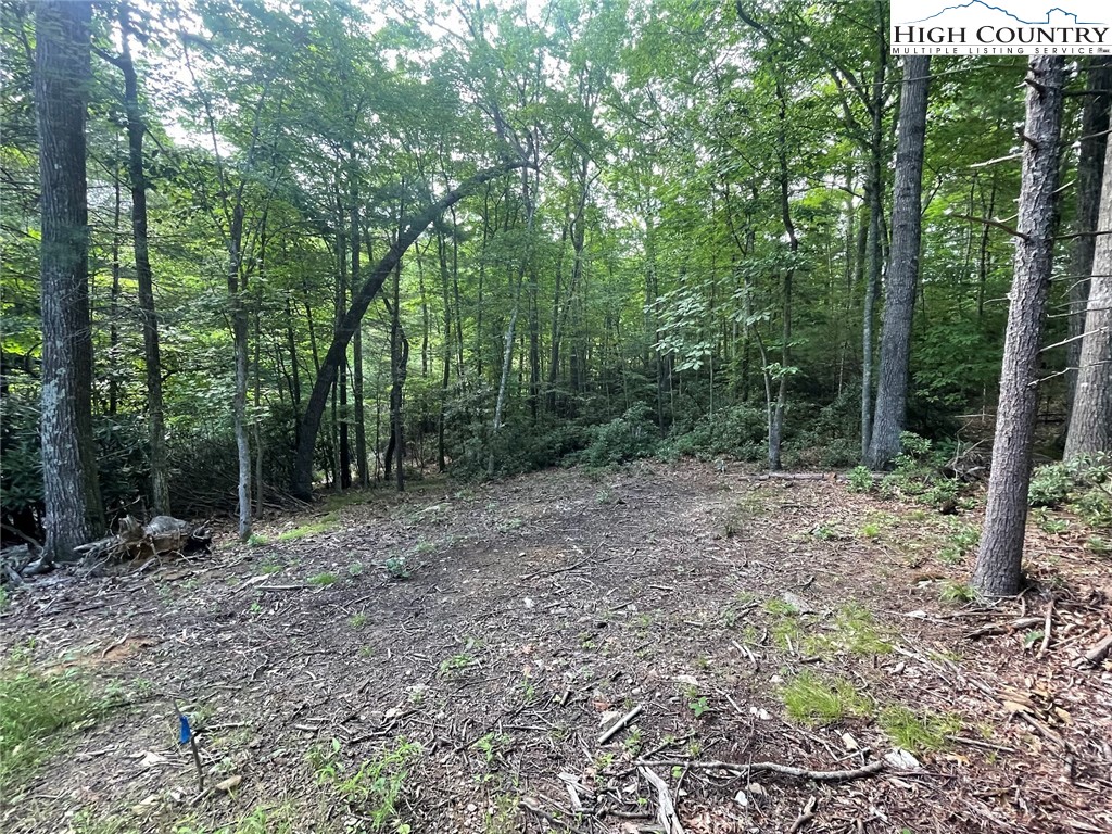 TBD Hickory Ridge Rd and Rendezvous Lane