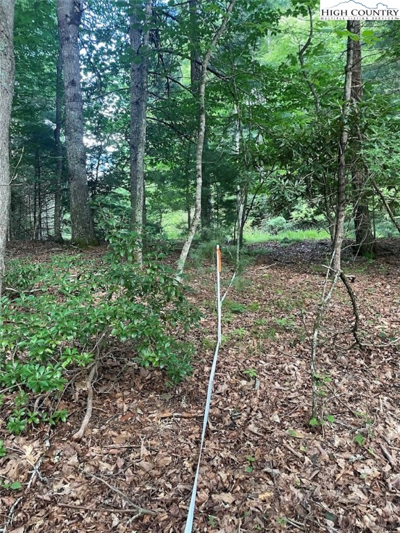 TBD Hickory Ridge Rd and Rendezvous Lane