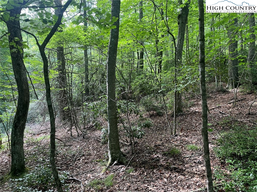 TBD Hickory Ridge Rd and Rendezvous Lane