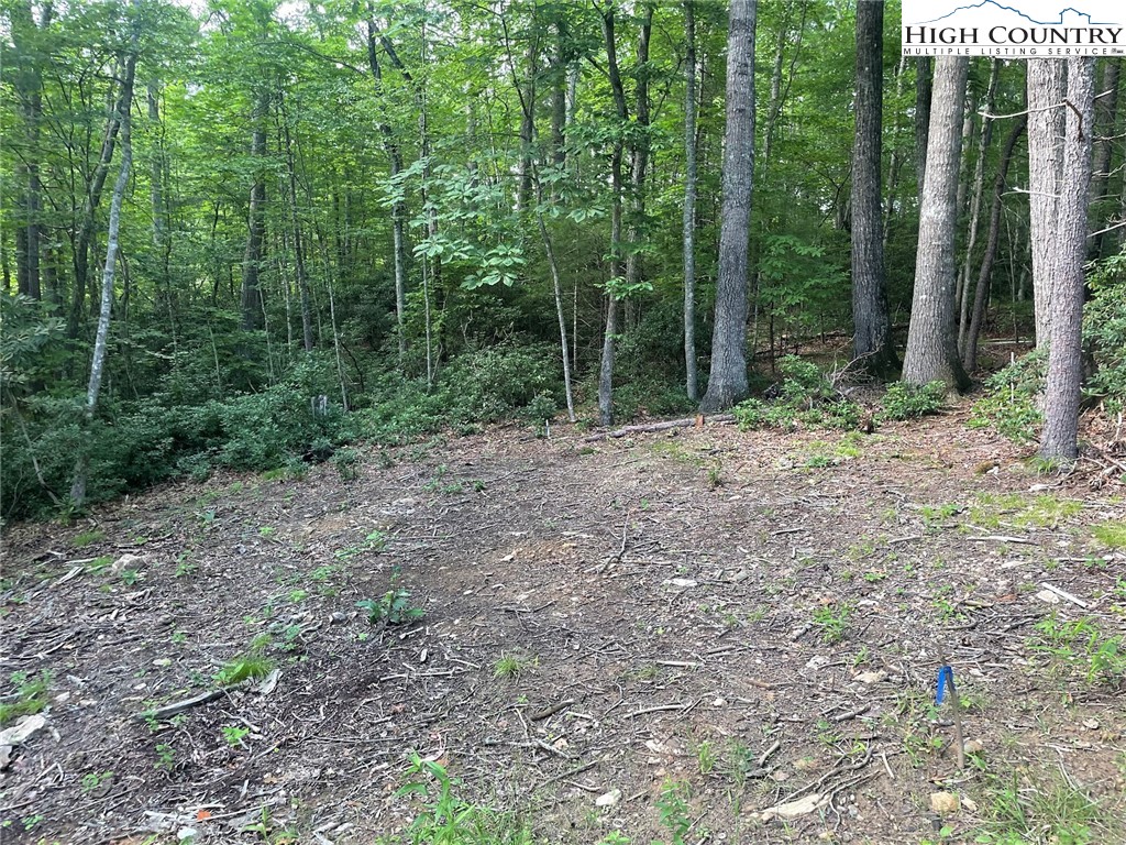 TBD Hickory Ridge Rd and Rendezvous Lane