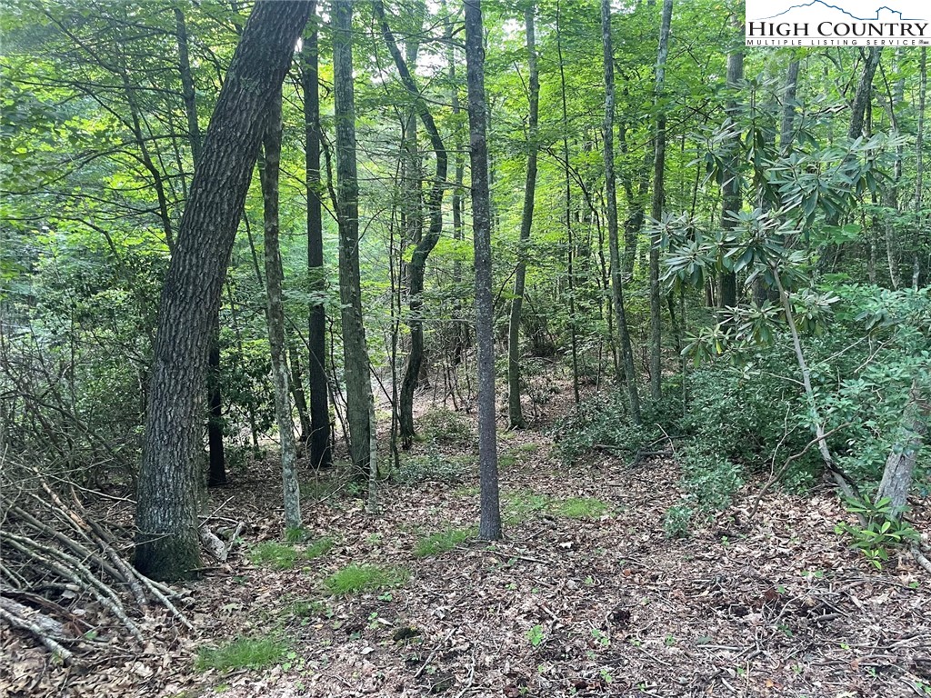 TBD Hickory Ridge Rd and Rendezvous Lane