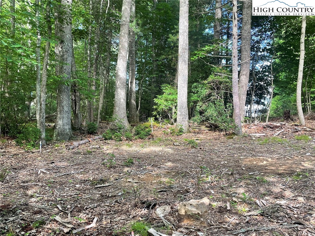 TBD Hickory Ridge Rd and Rendezvous Lane