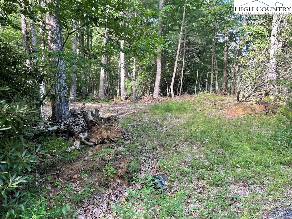 TBD Hickory Ridge Rd and Rendezvous Lane