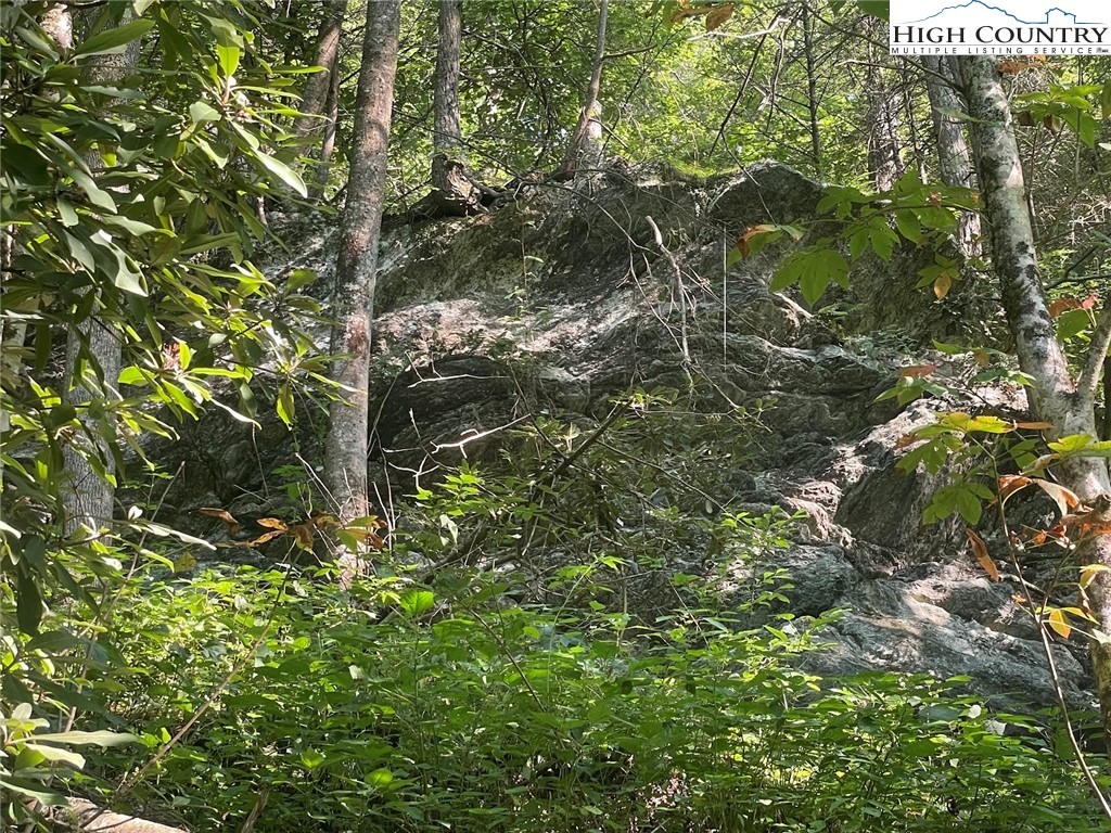 TBD Big Helton Creek Road