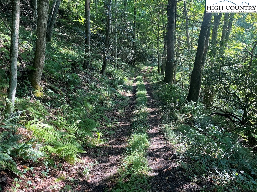 TBD Big Helton Creek Road