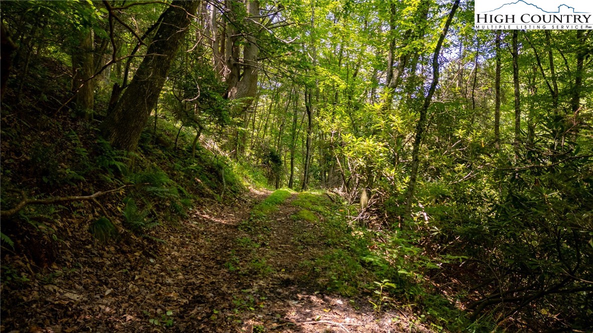 TBD Big Helton Creek Road